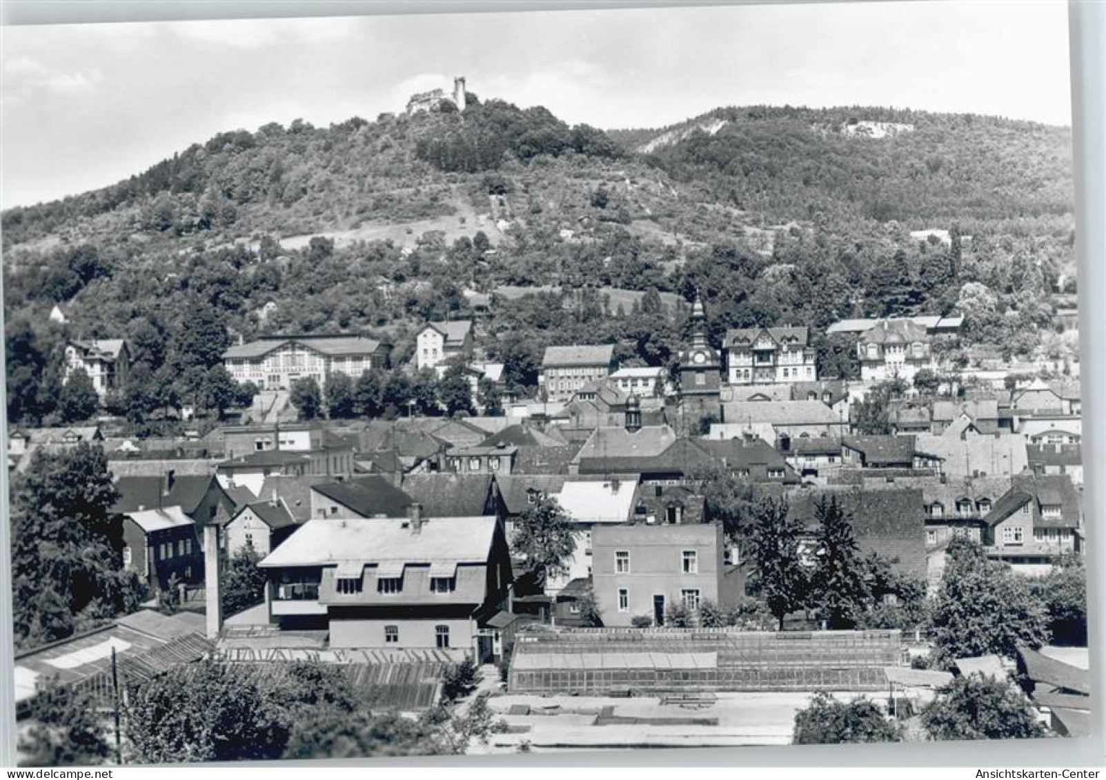 50429669 - Bad Blankenburg