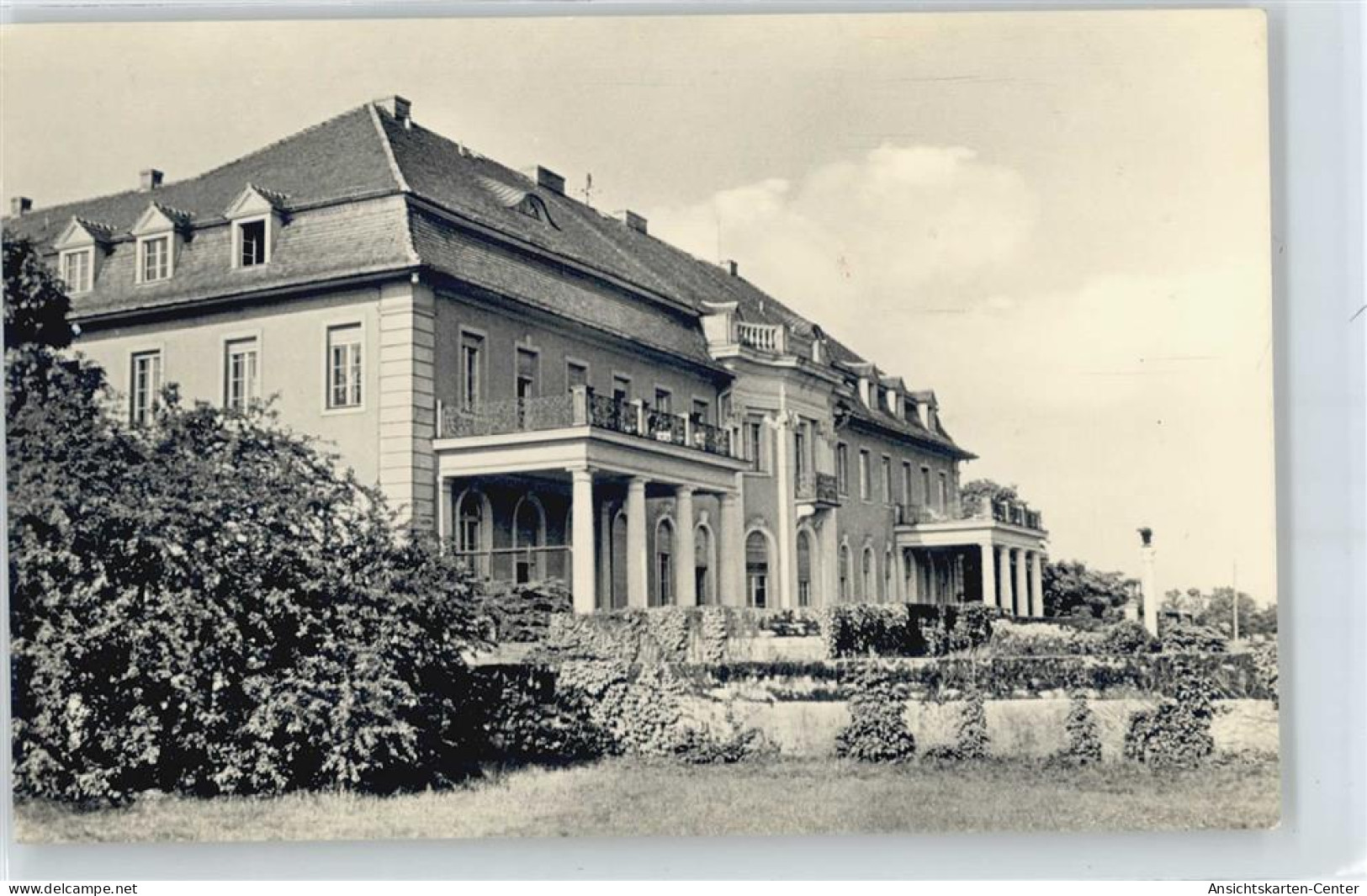 50430454 - Baerenklau , NL