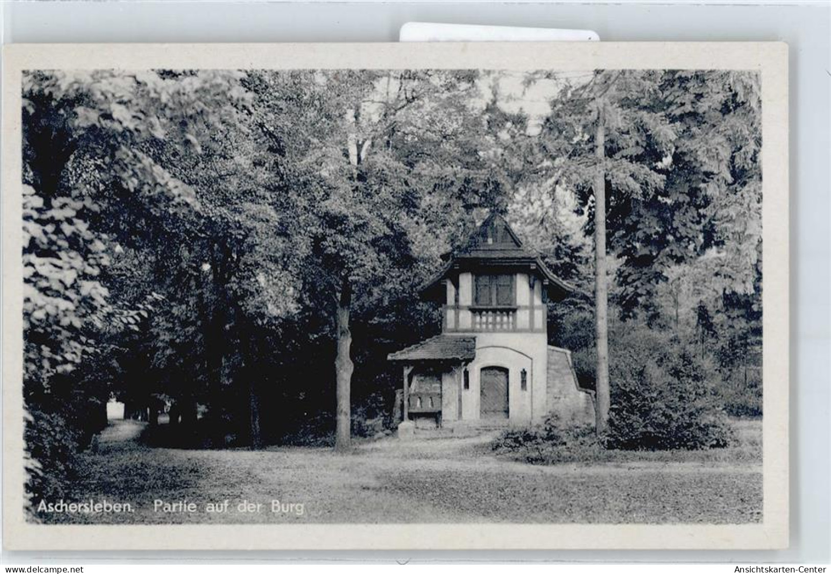 50430539 - Aschersleben , Sachs-Anh