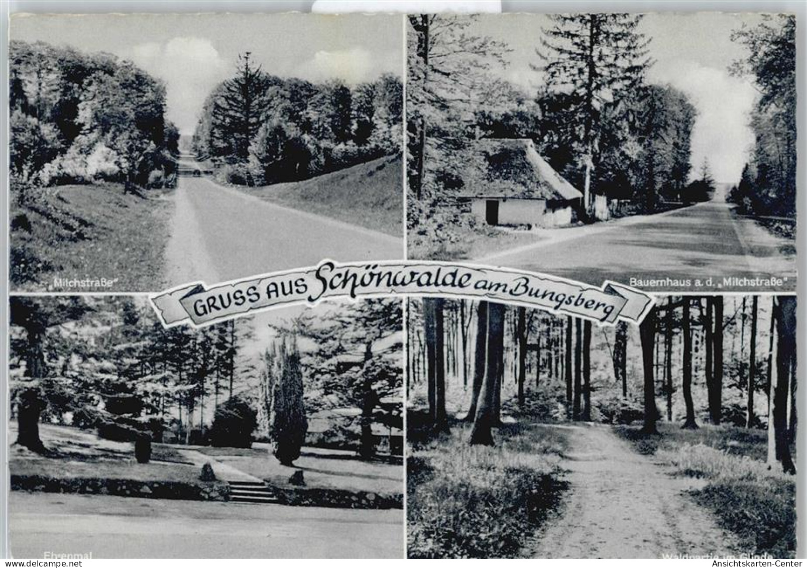 50431904 - Schoenwalde am Bungsberg