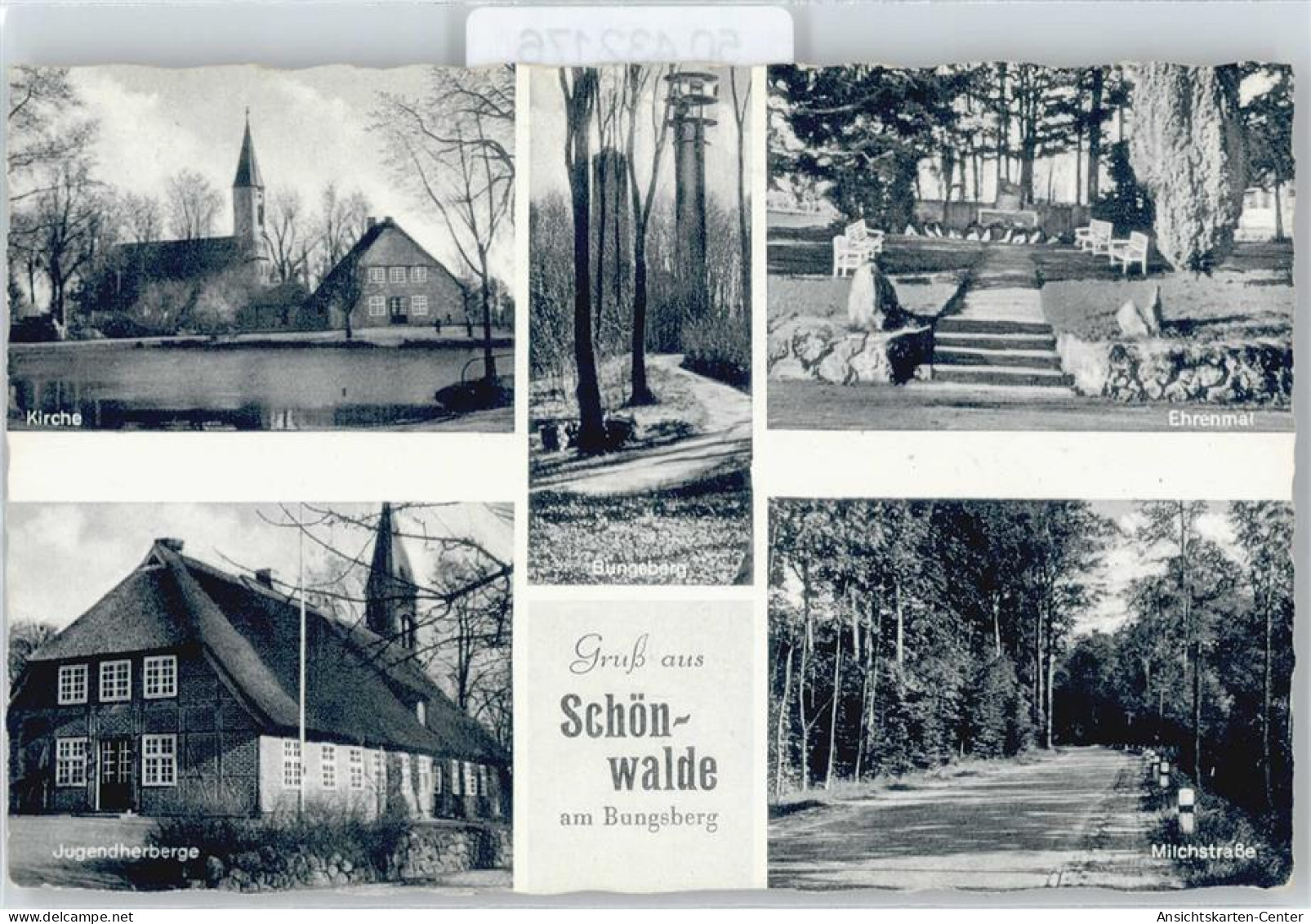 50432176 - Schoenwalde am Bungsberg