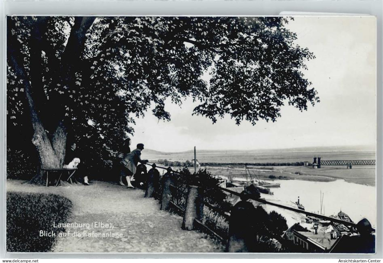 50432272 - Lauenburg , Elbe