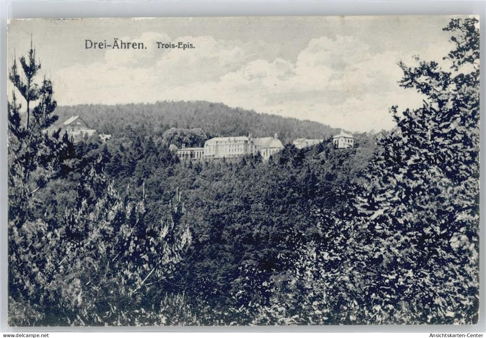 50434283 - Drei-Aehren