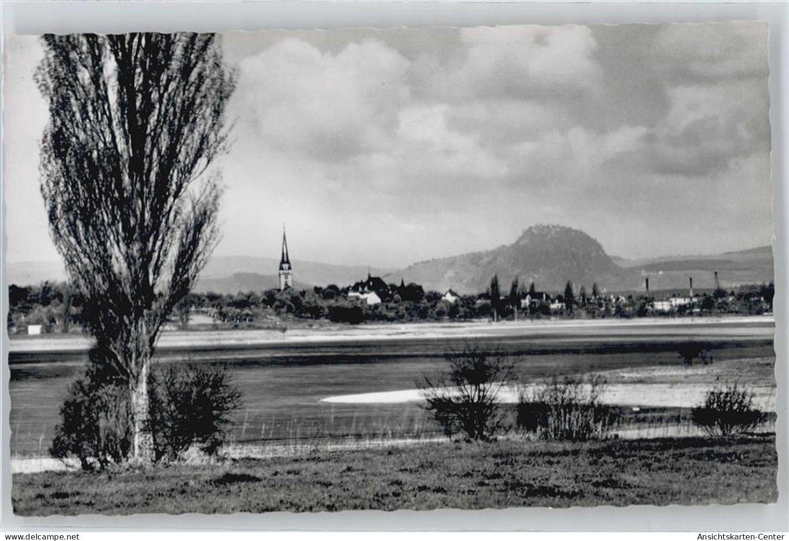 50434531 - Radolfzell am Bodensee