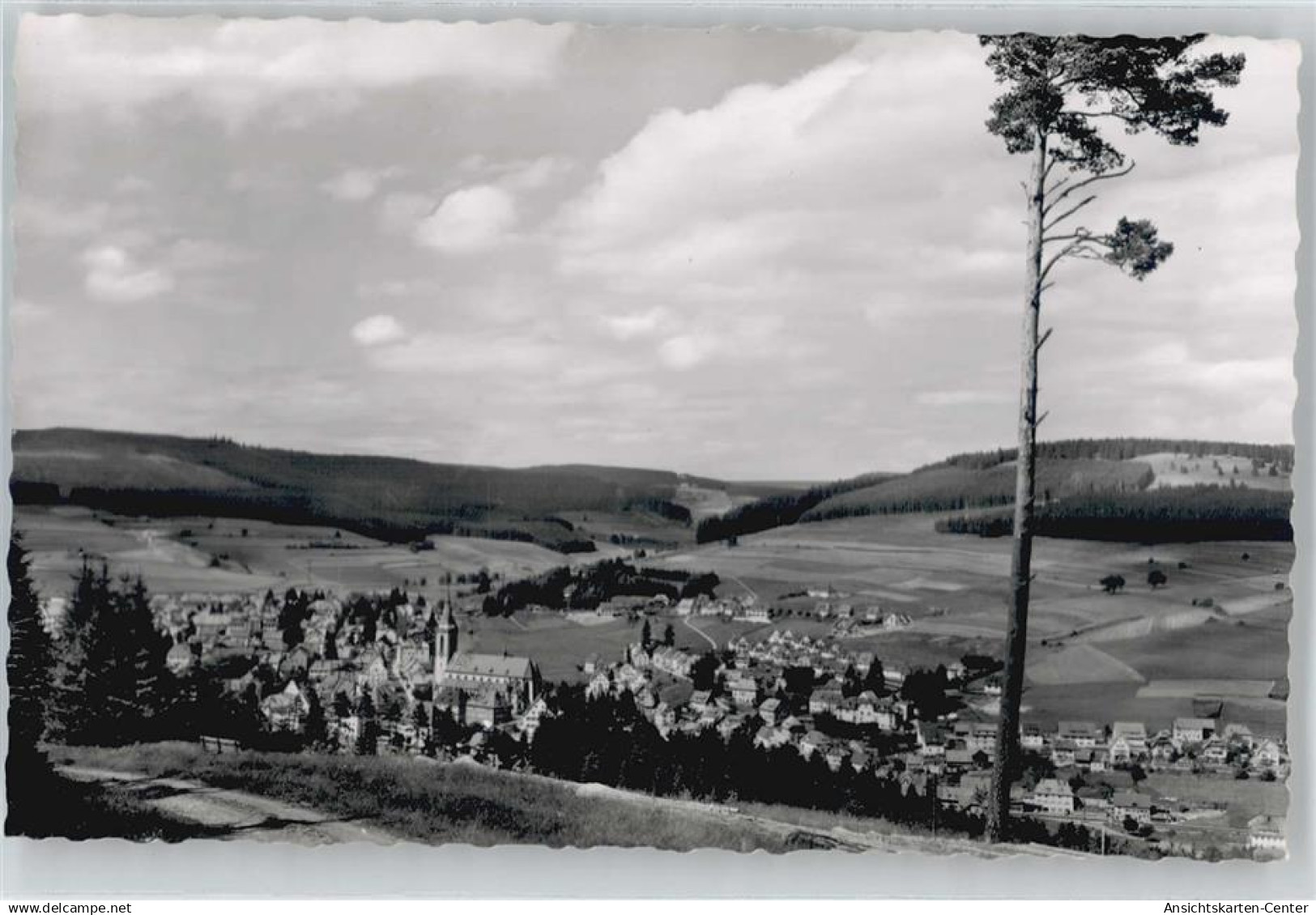50434896 - Titisee-Neustadt