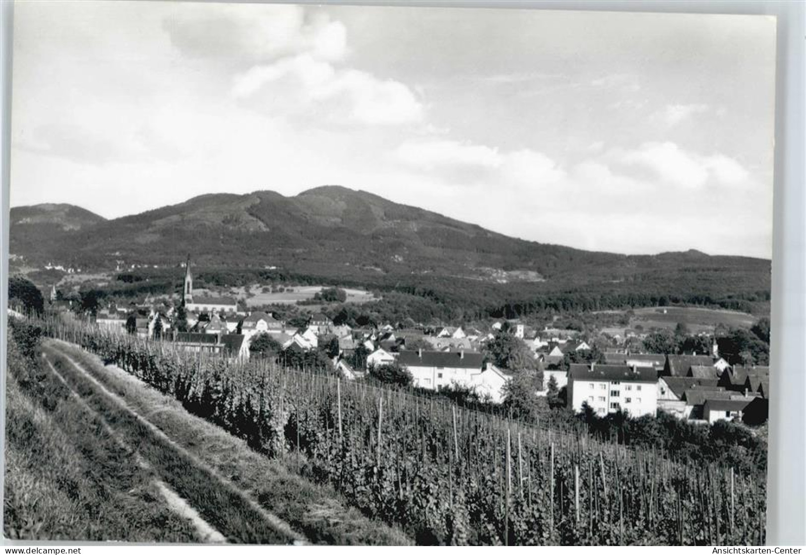 50435275 - Muellheim , Baden