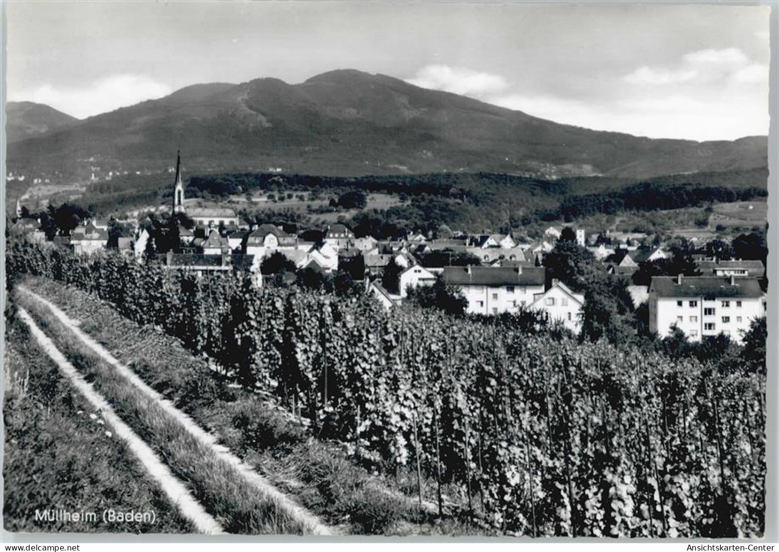 50435276 - Muellheim , Baden
