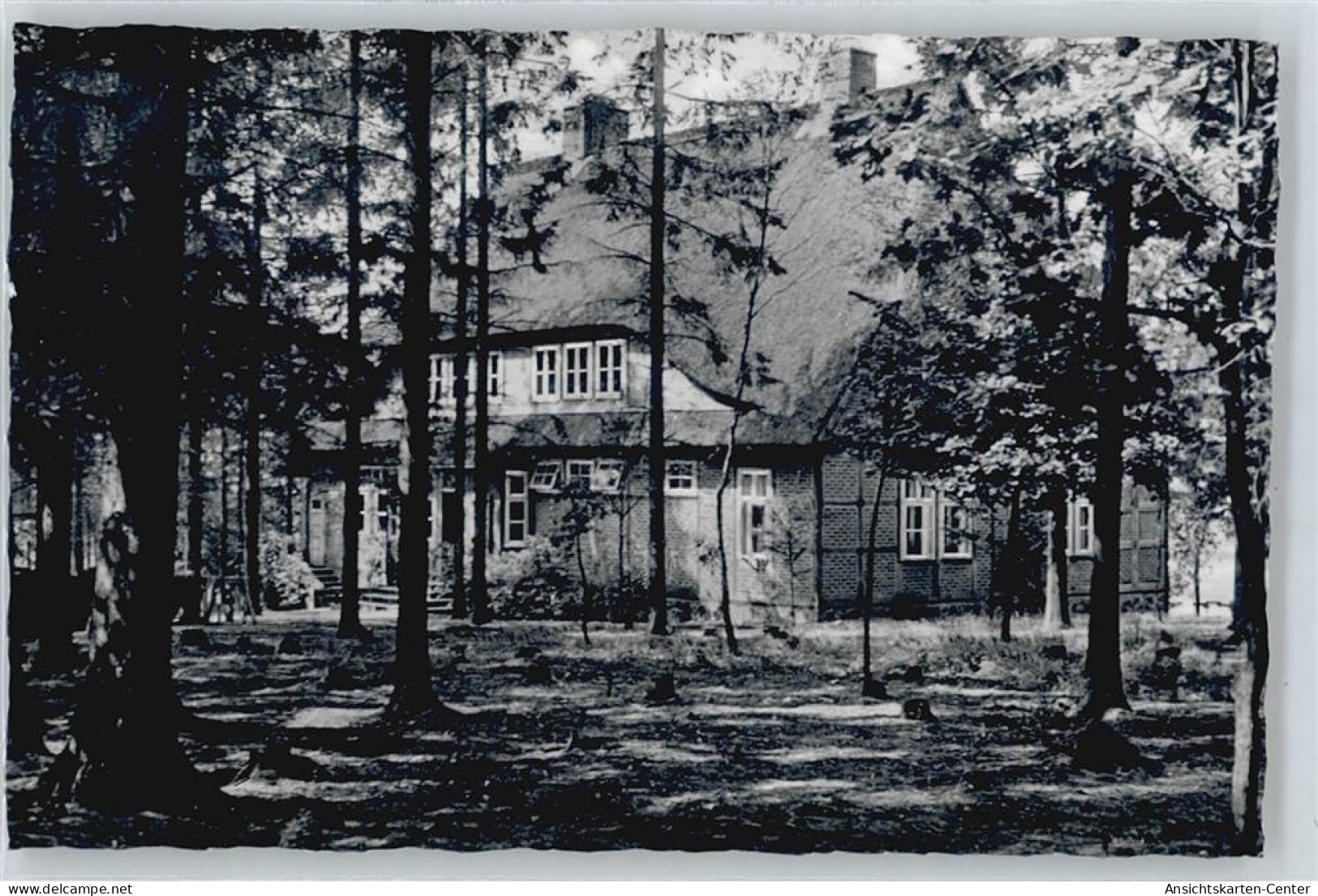 50435370 - Schneverdingen