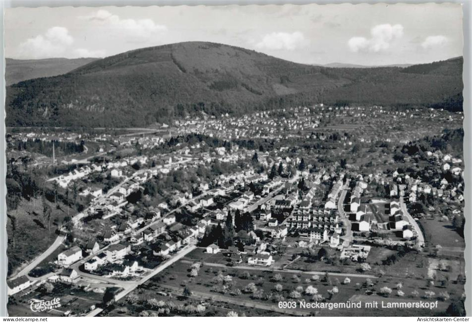 50436380 - Neckargemuend