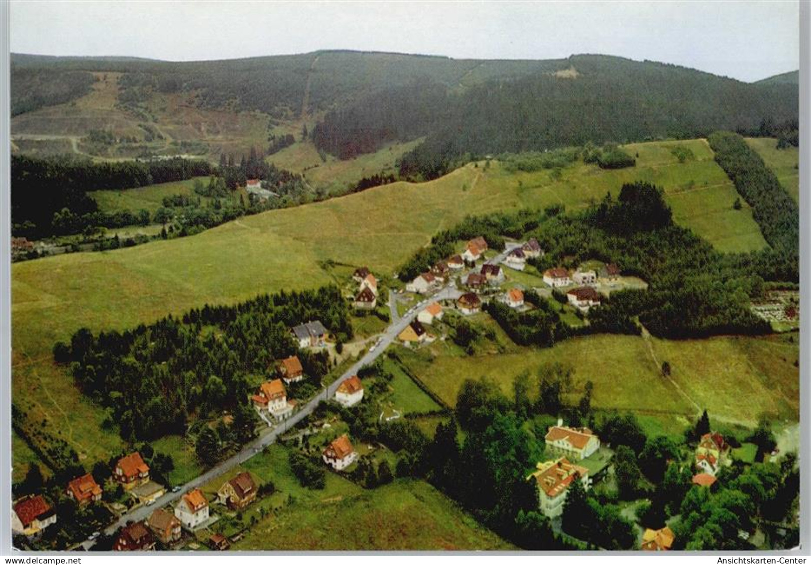 50437505 - Wildemann