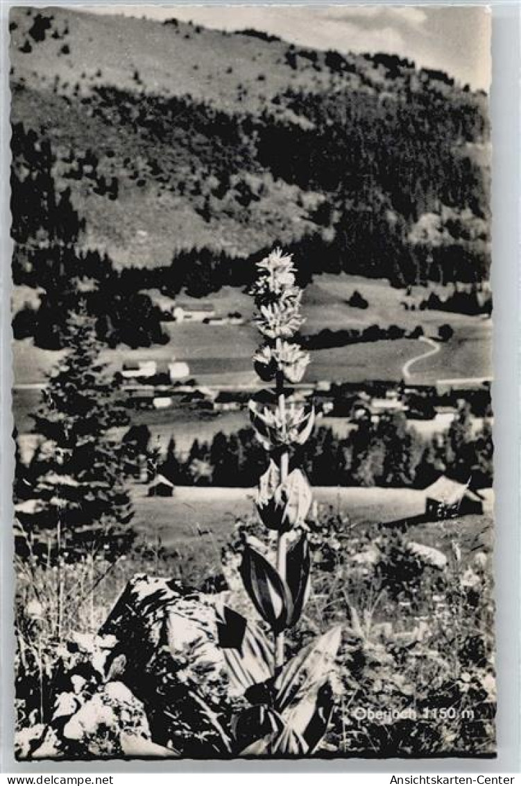 50438375 - Hindelang