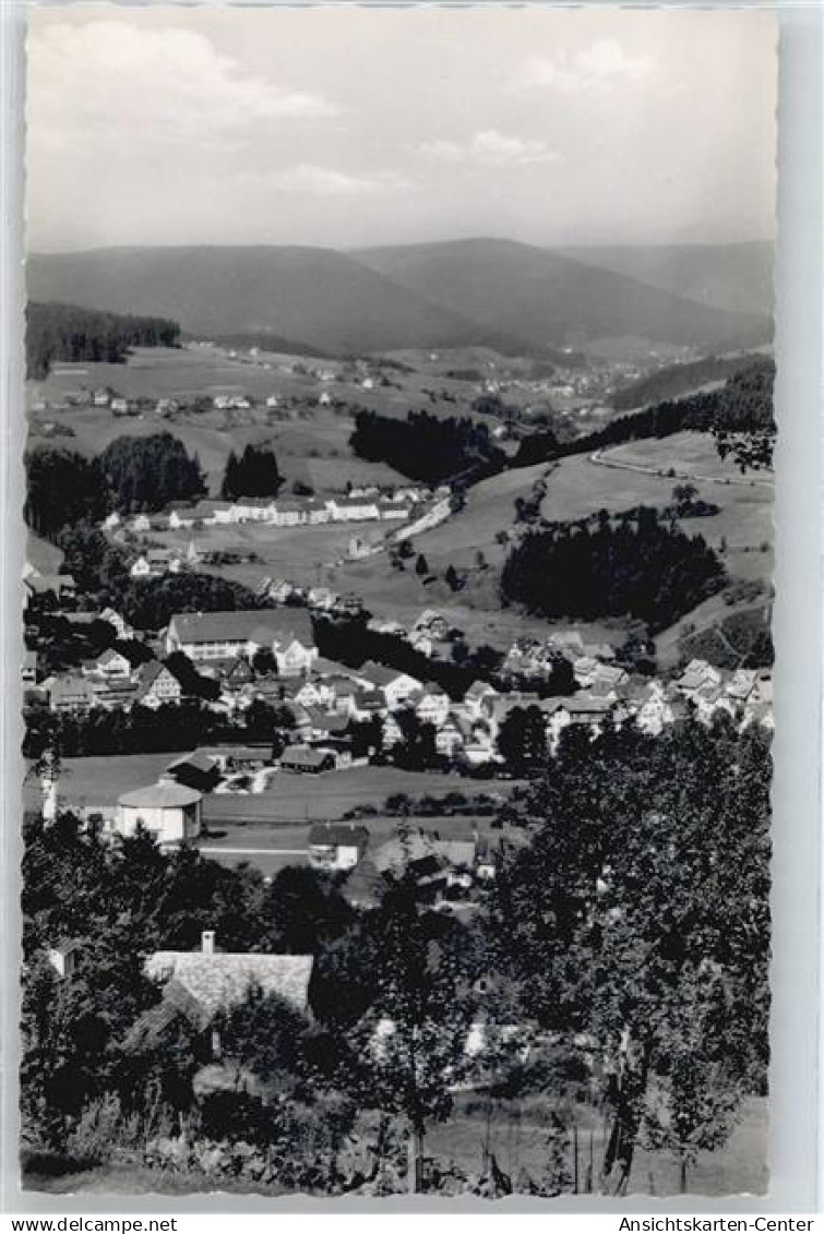 50438568 - Baiersbronn