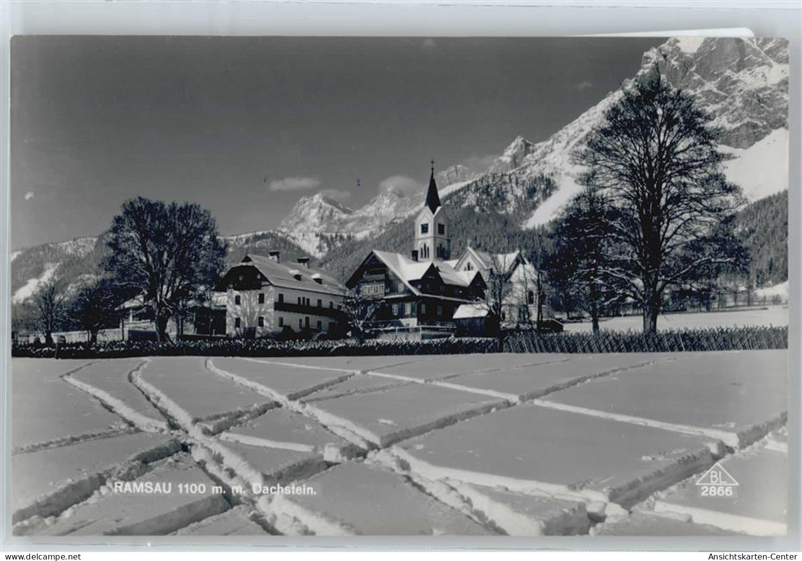 50438763 - Ramsau am Dachstein