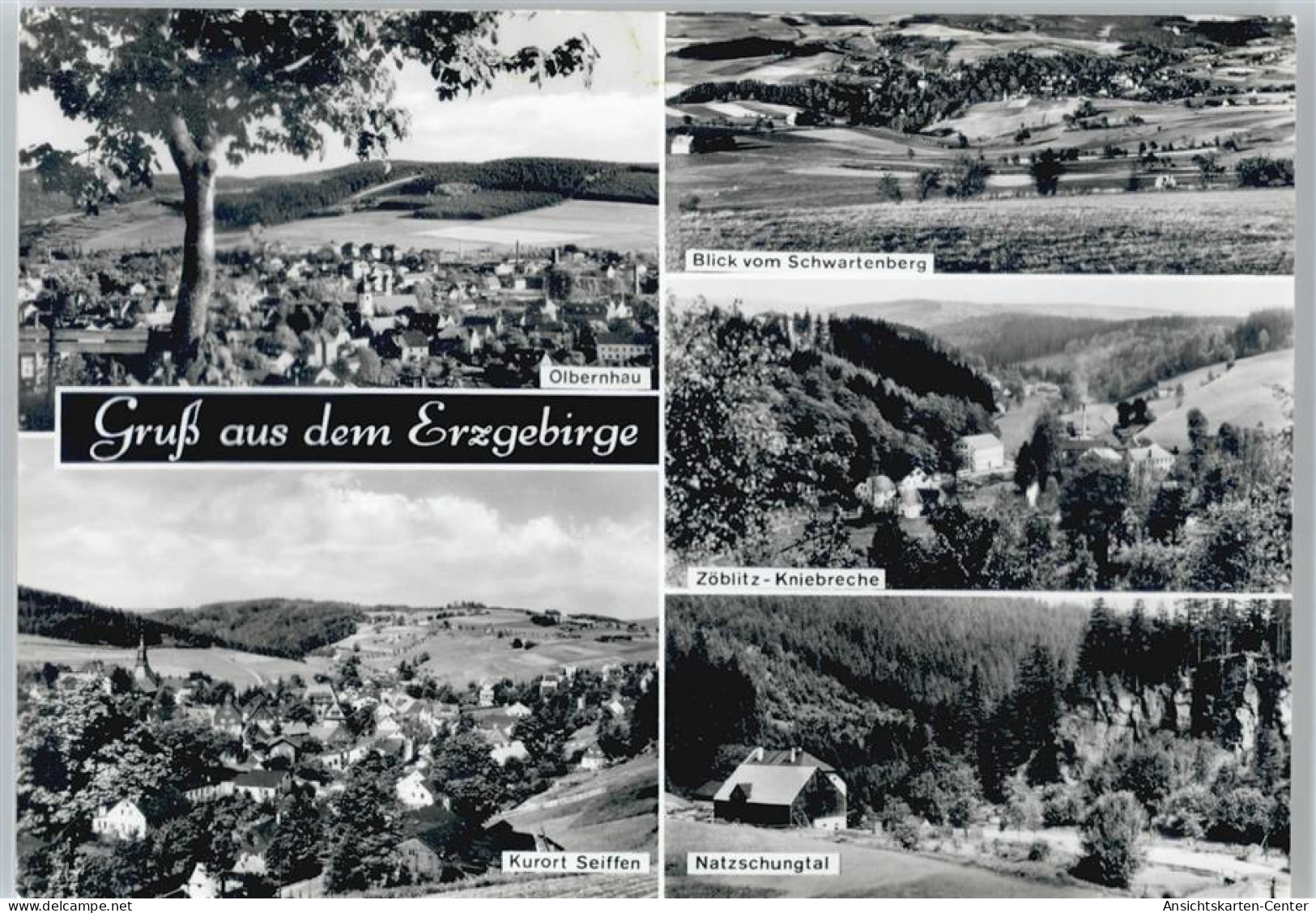 50439731 - Olbernhau
