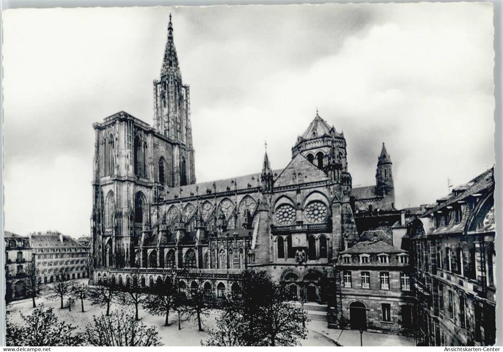 50439804 - Strasbourg