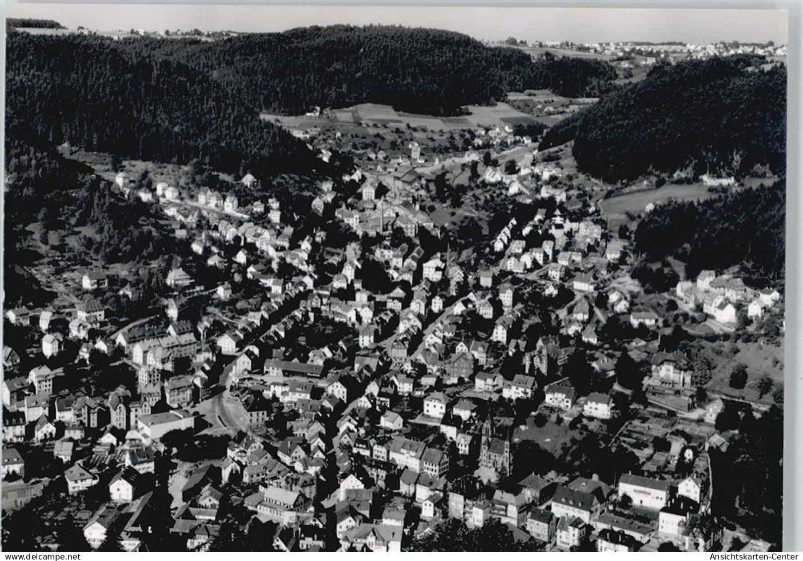 50440255 - Schramberg