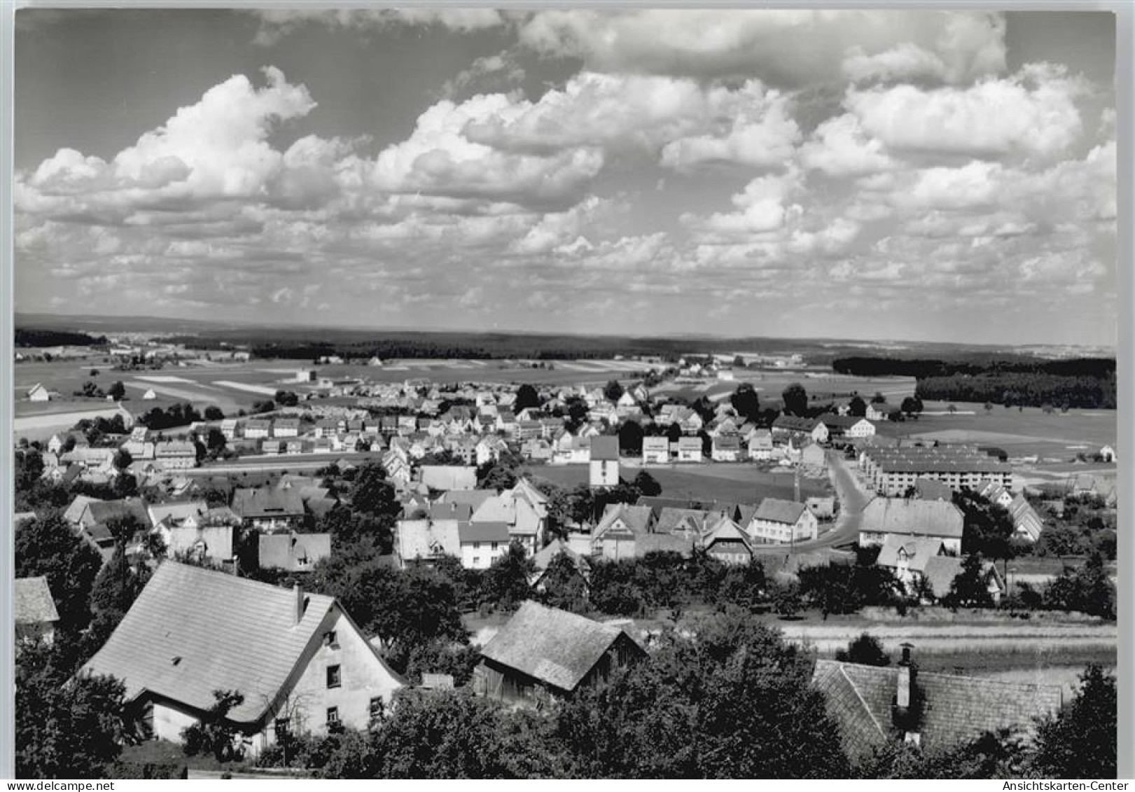 50440322 - Schramberg