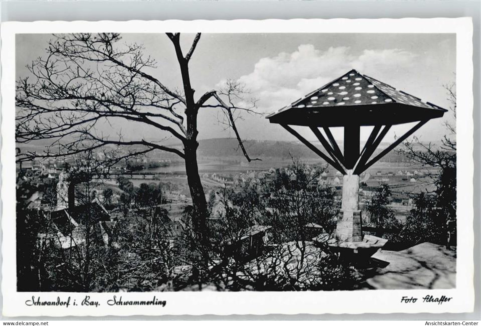 50440577 - Schwandorf , Bay