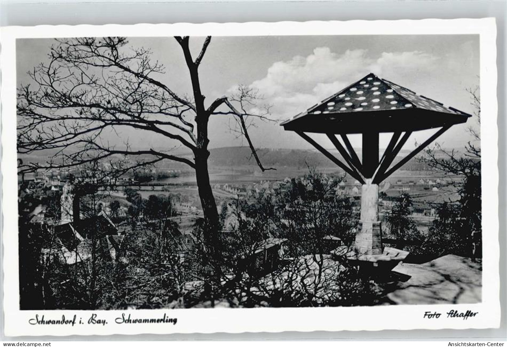 50440578 - Schwandorf , Bay