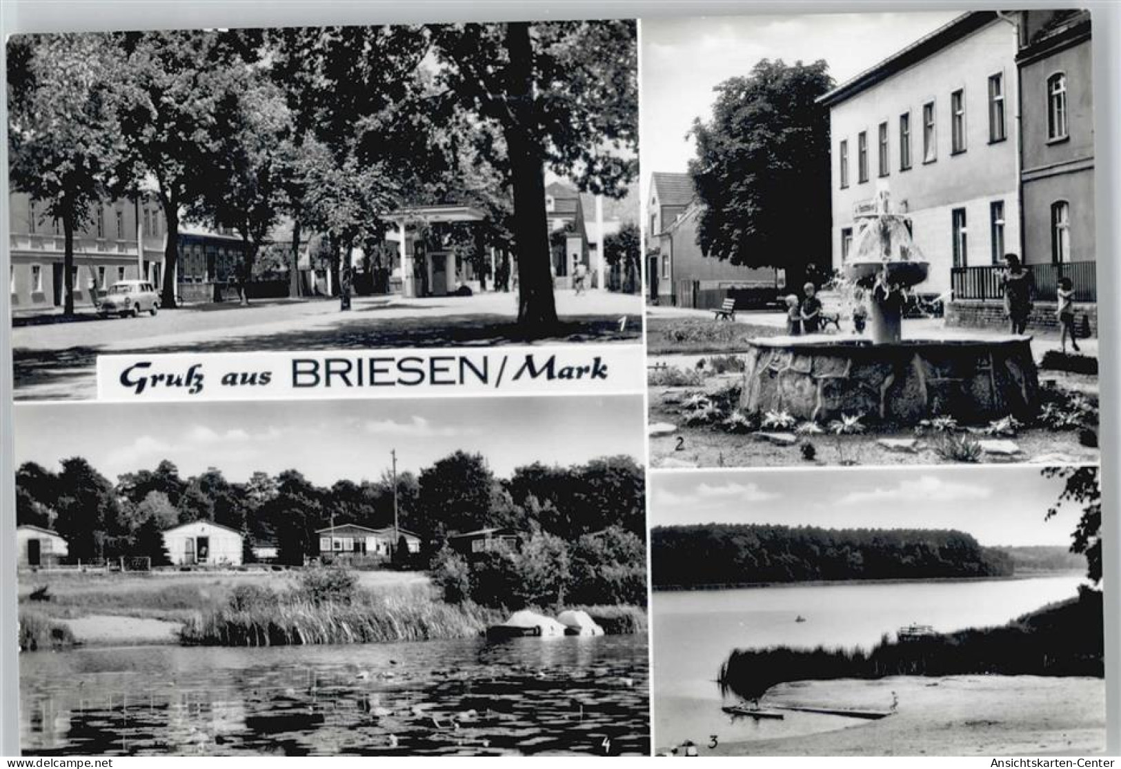 50440837 - Briesen (Mark)
