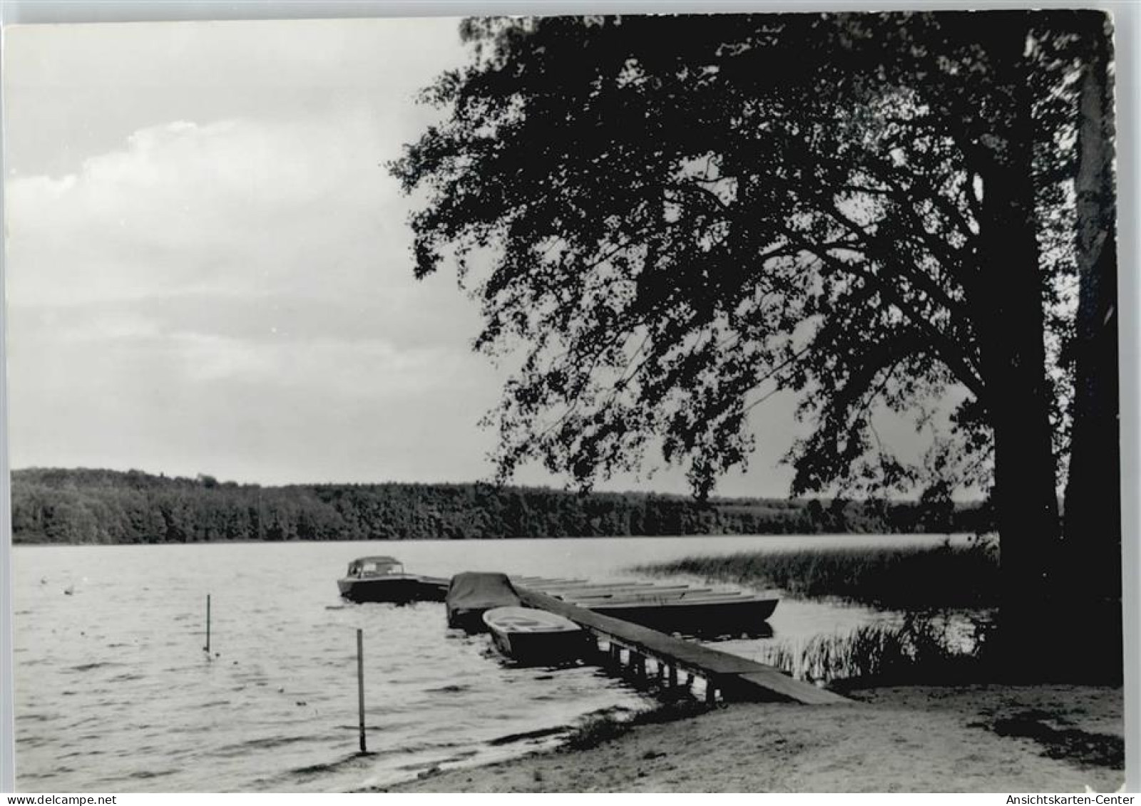 50440839 - Ahrensdorf b Templin