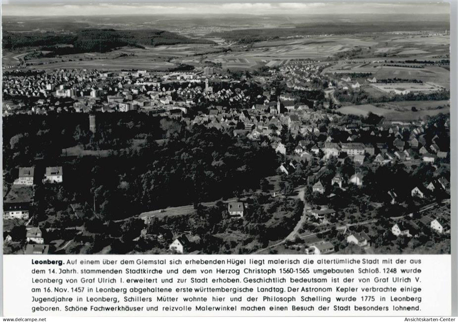 50440955 - Leonberg , Wuertt