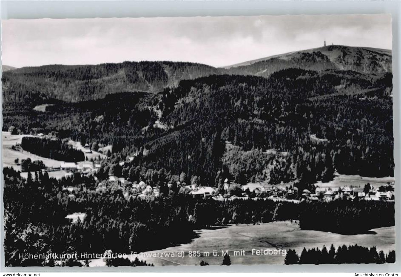 50441289 - Hinterzarten