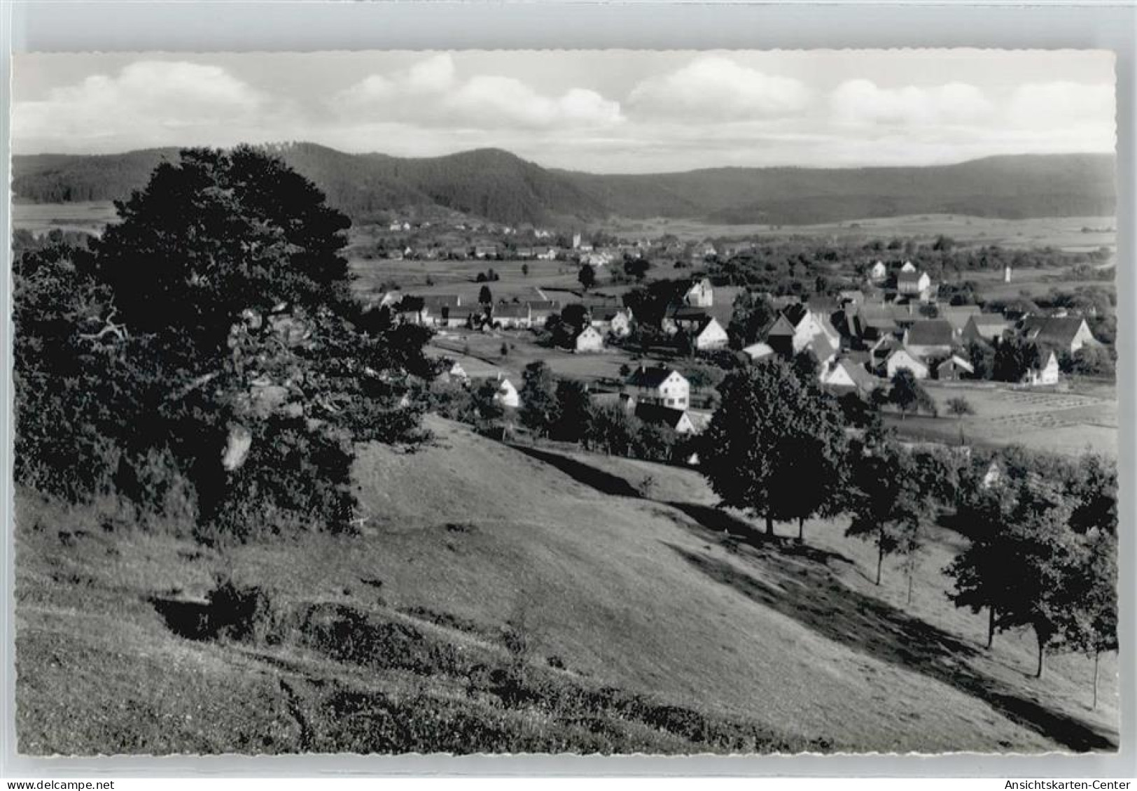 50441422 - Muehlheim am Bach