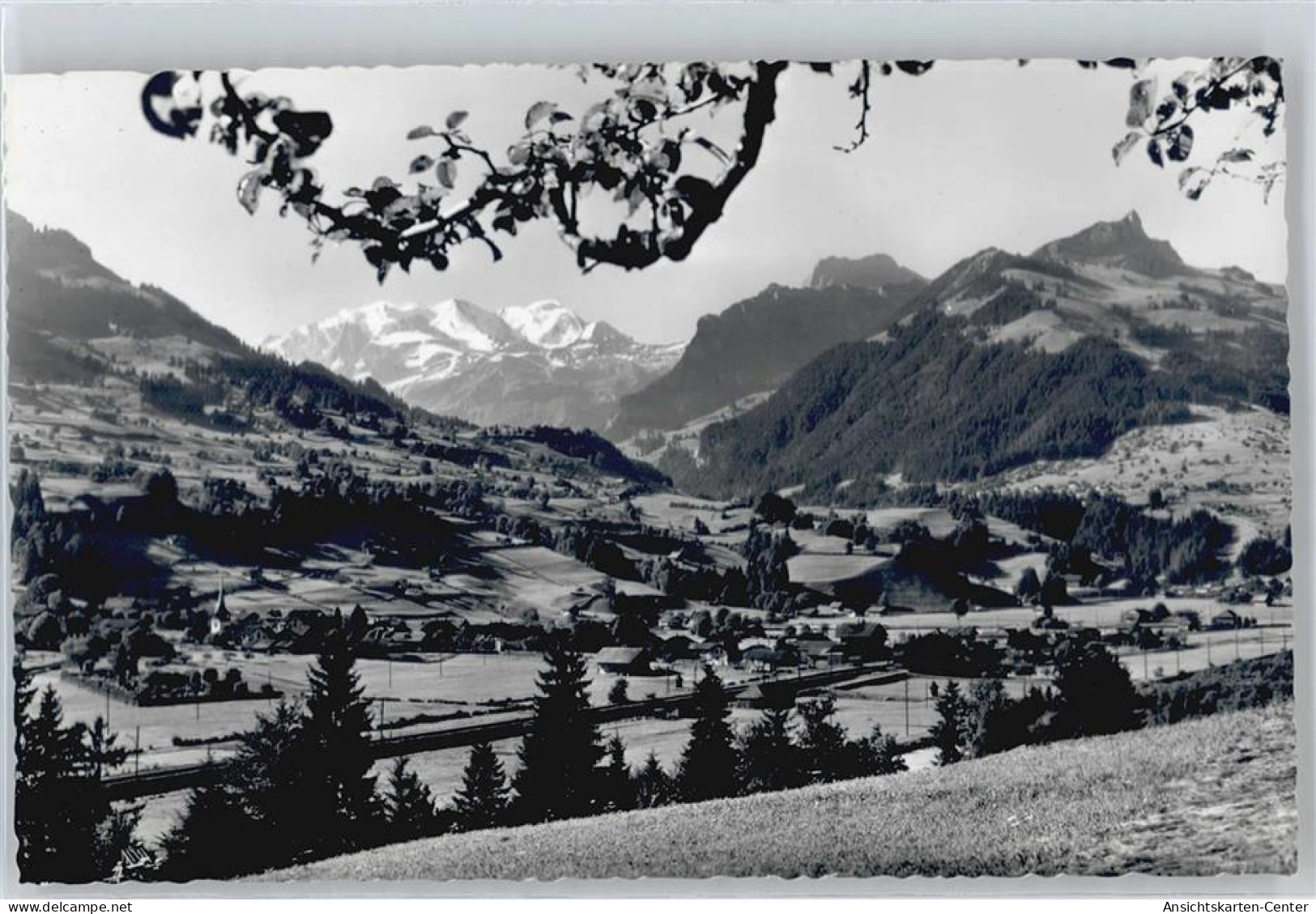 50441435 - Reichenbach im Kandertal Kien