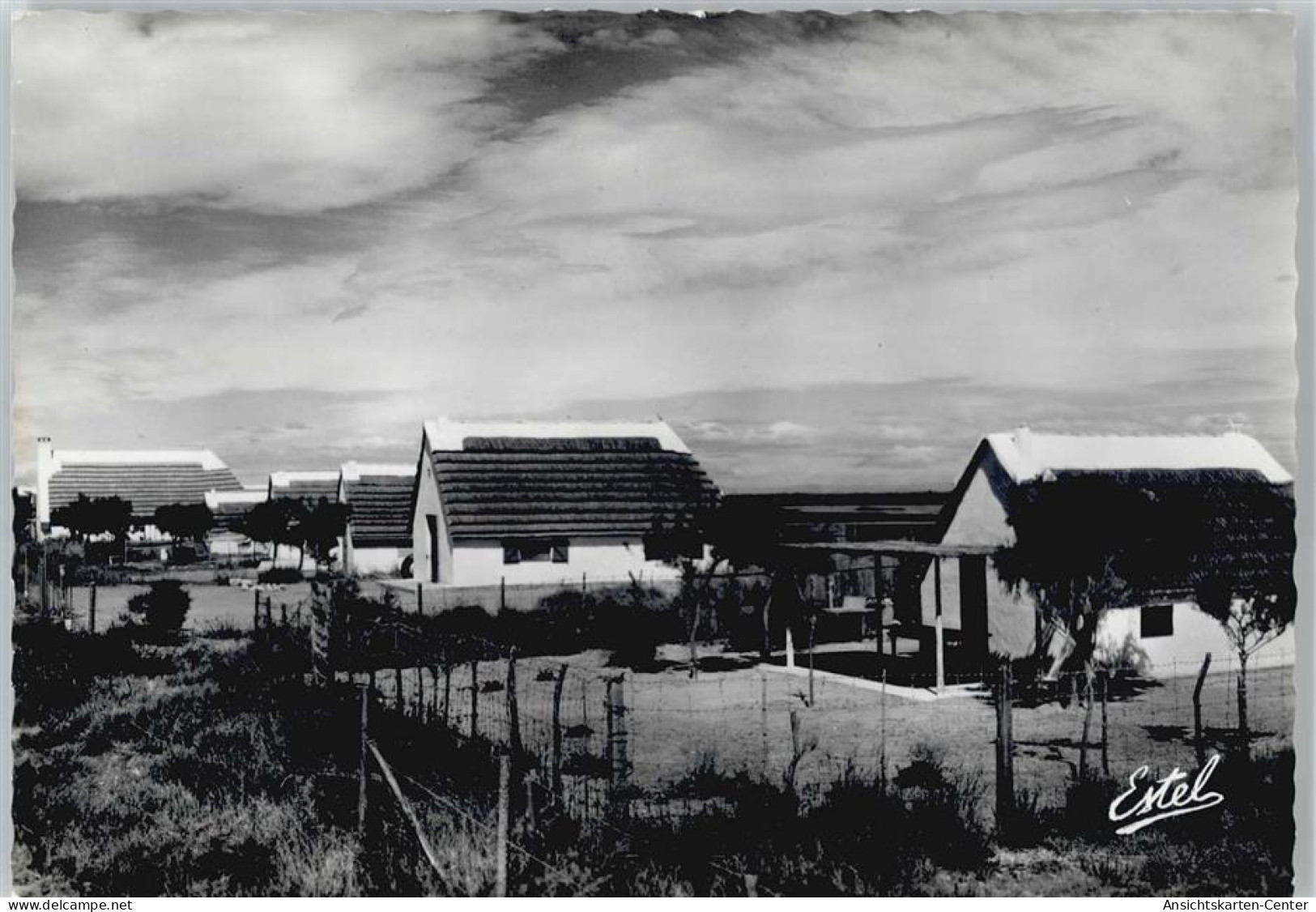 50441672 - Saintes-Maries-de-la-Mer