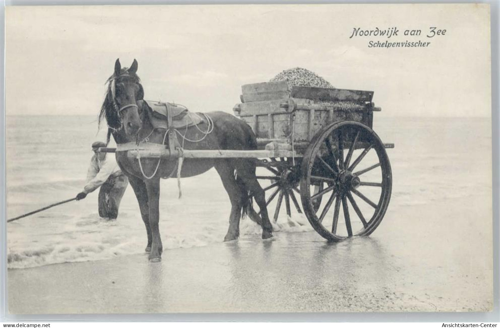 50442077 - Noordwijk Noordwijk Zh;Noordwijk aan Zee