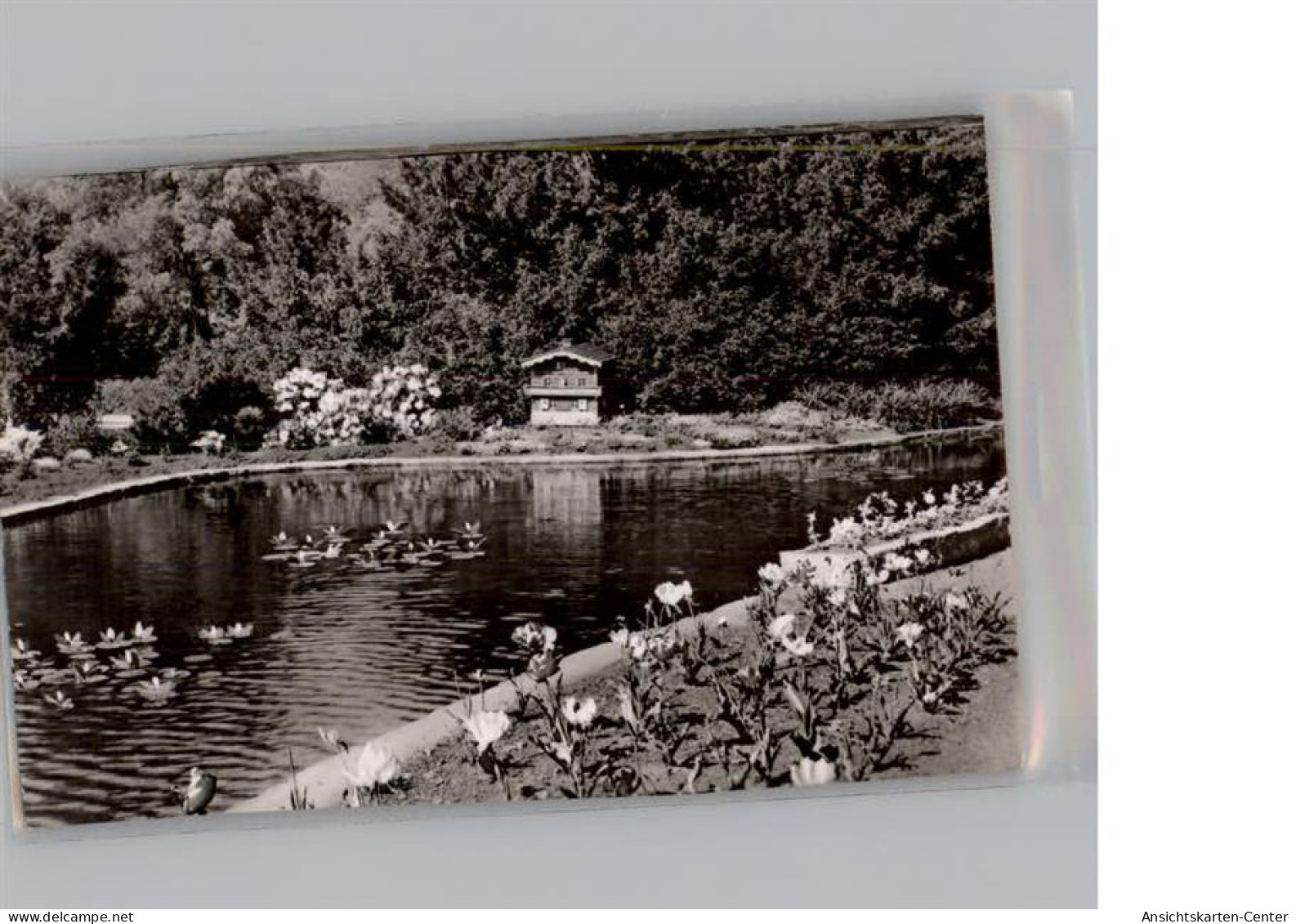 50450356 - Ruesselsheim