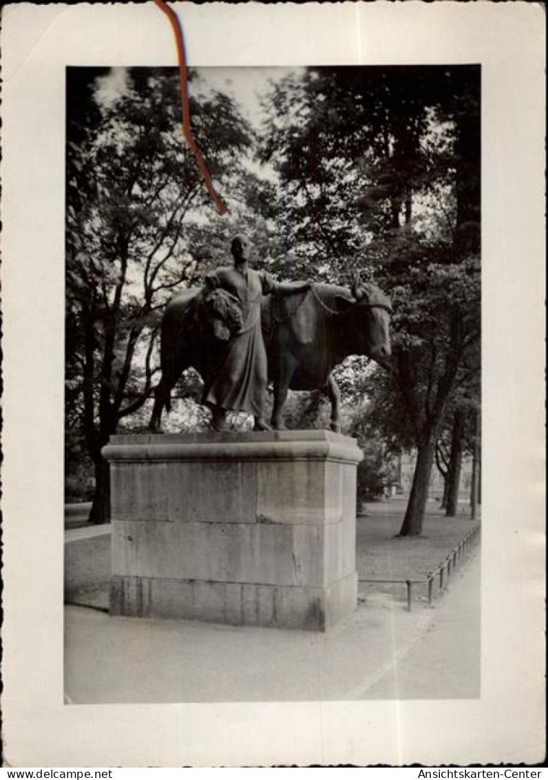 50454158 - Muenster , Westf