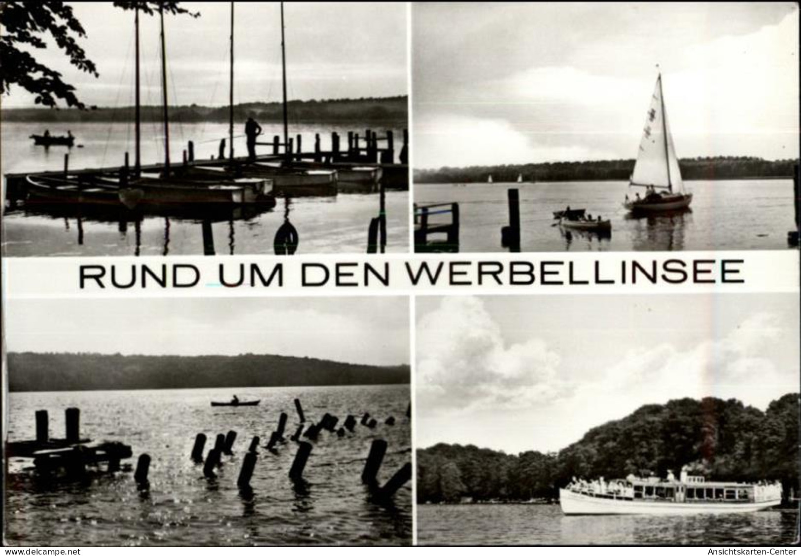 50454512 - Altenhof b Eberswalde