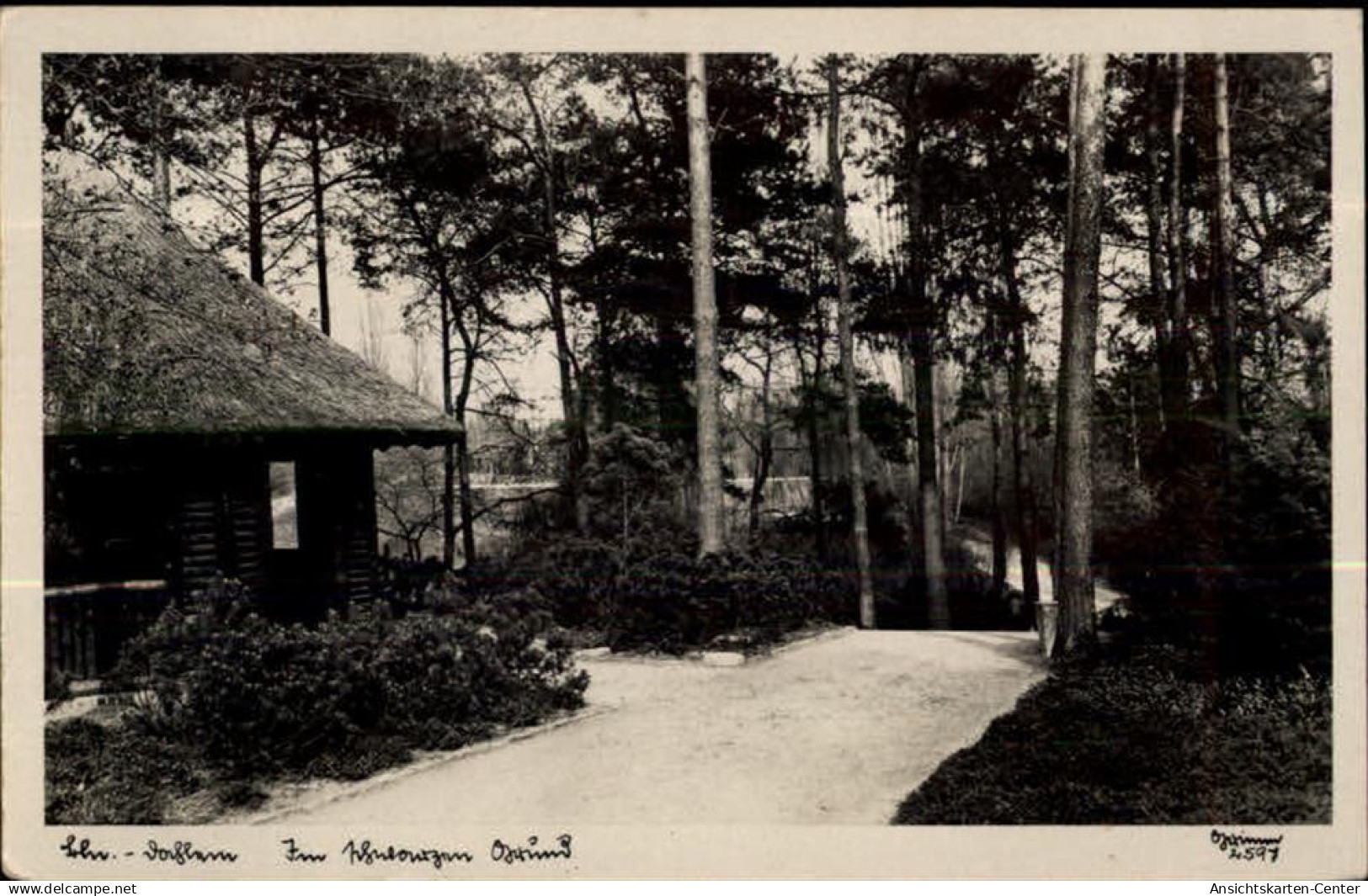 50455999 - Berlin, Dahlem