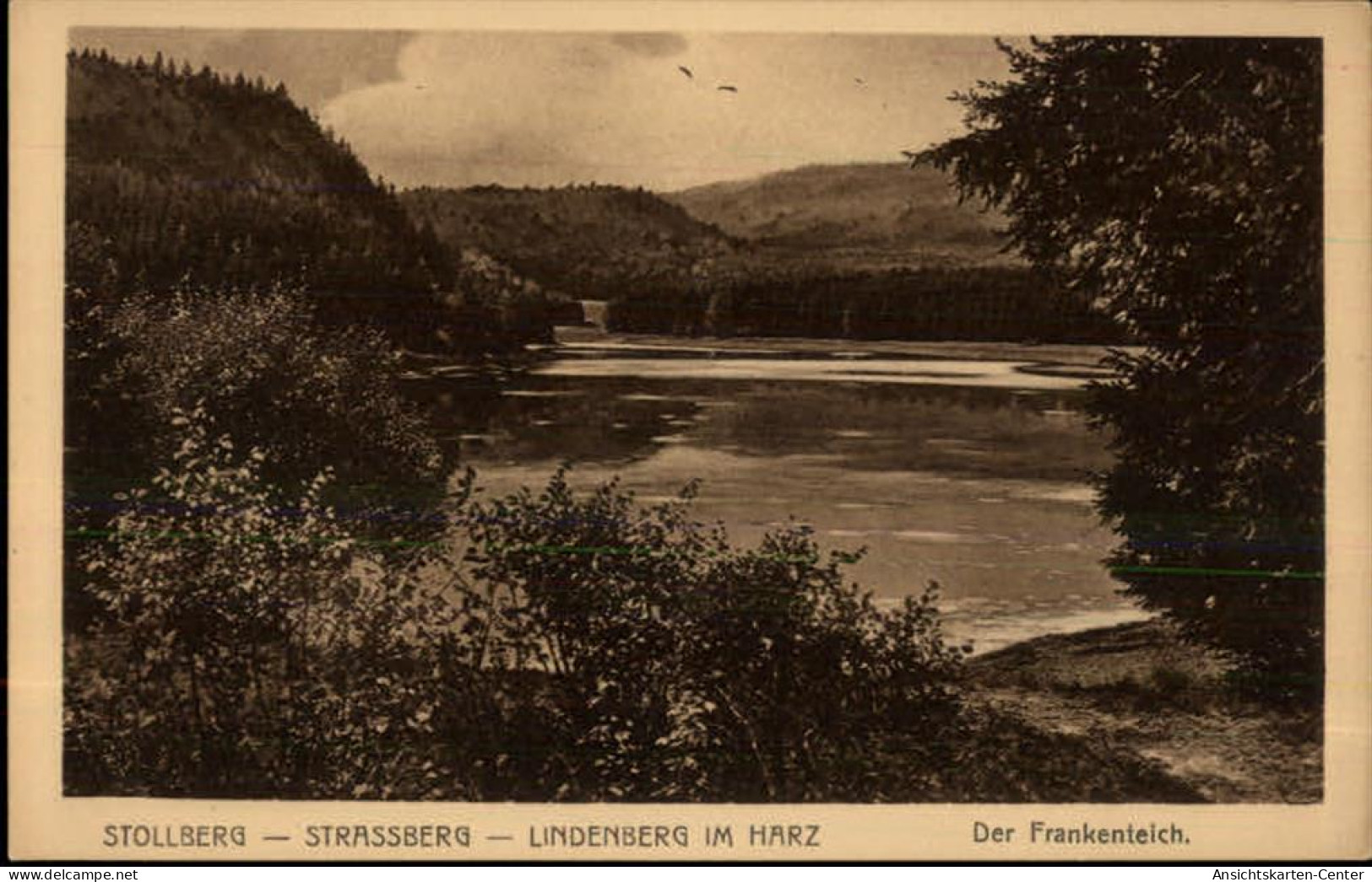 50456236 - Stollberg , Erzgeb