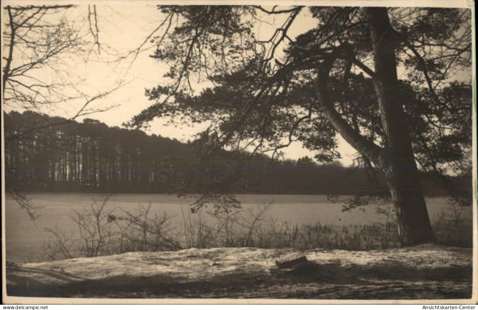 50458236 - Varel , Jadebusen