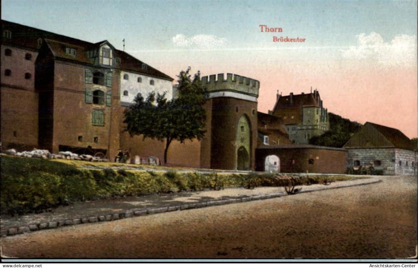 50459939 - Thorn Torun