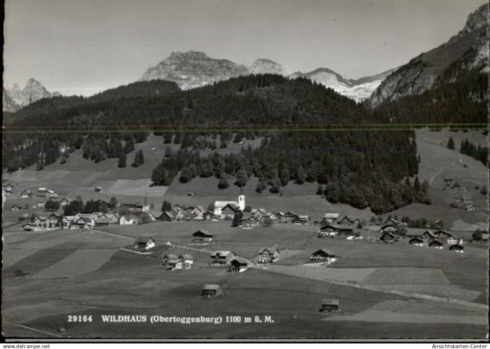 50461024 - Stein SG