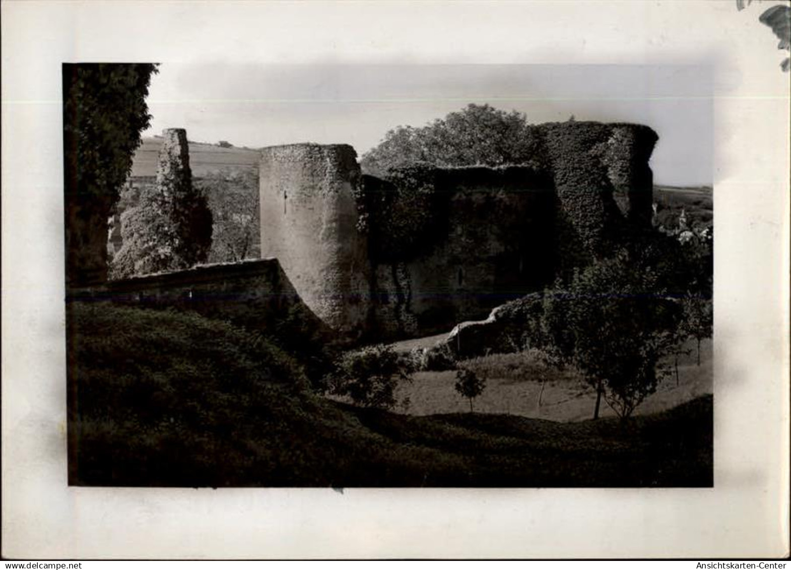50463395 - Bad Muenstereifel