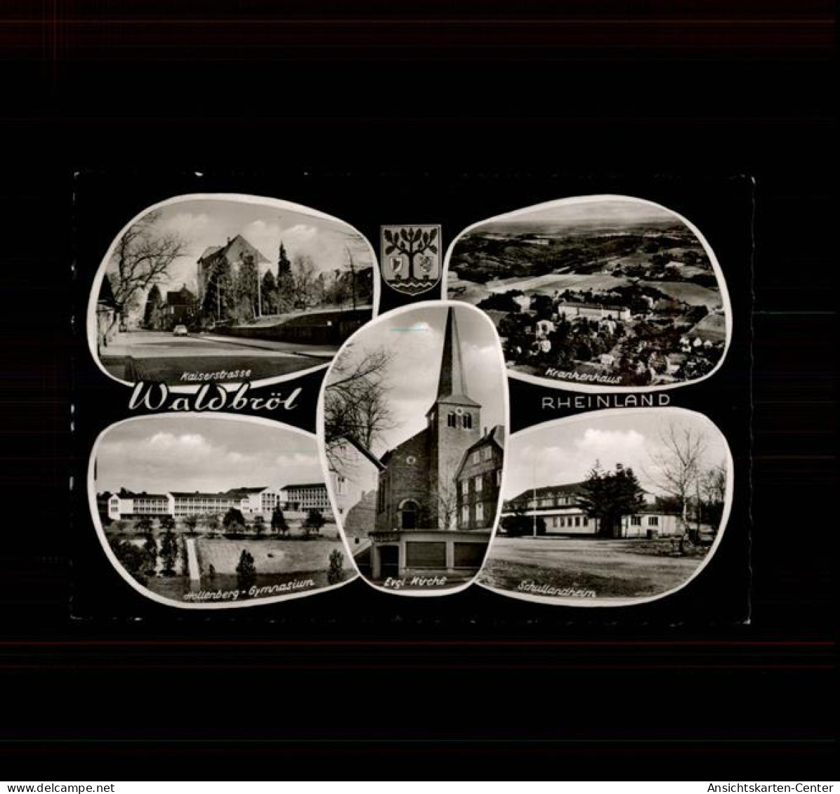 50470997 - Waldbroel