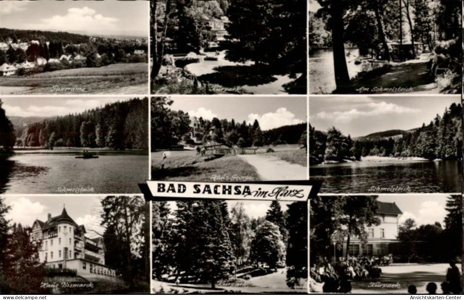 50478266 - Bad Sachsa