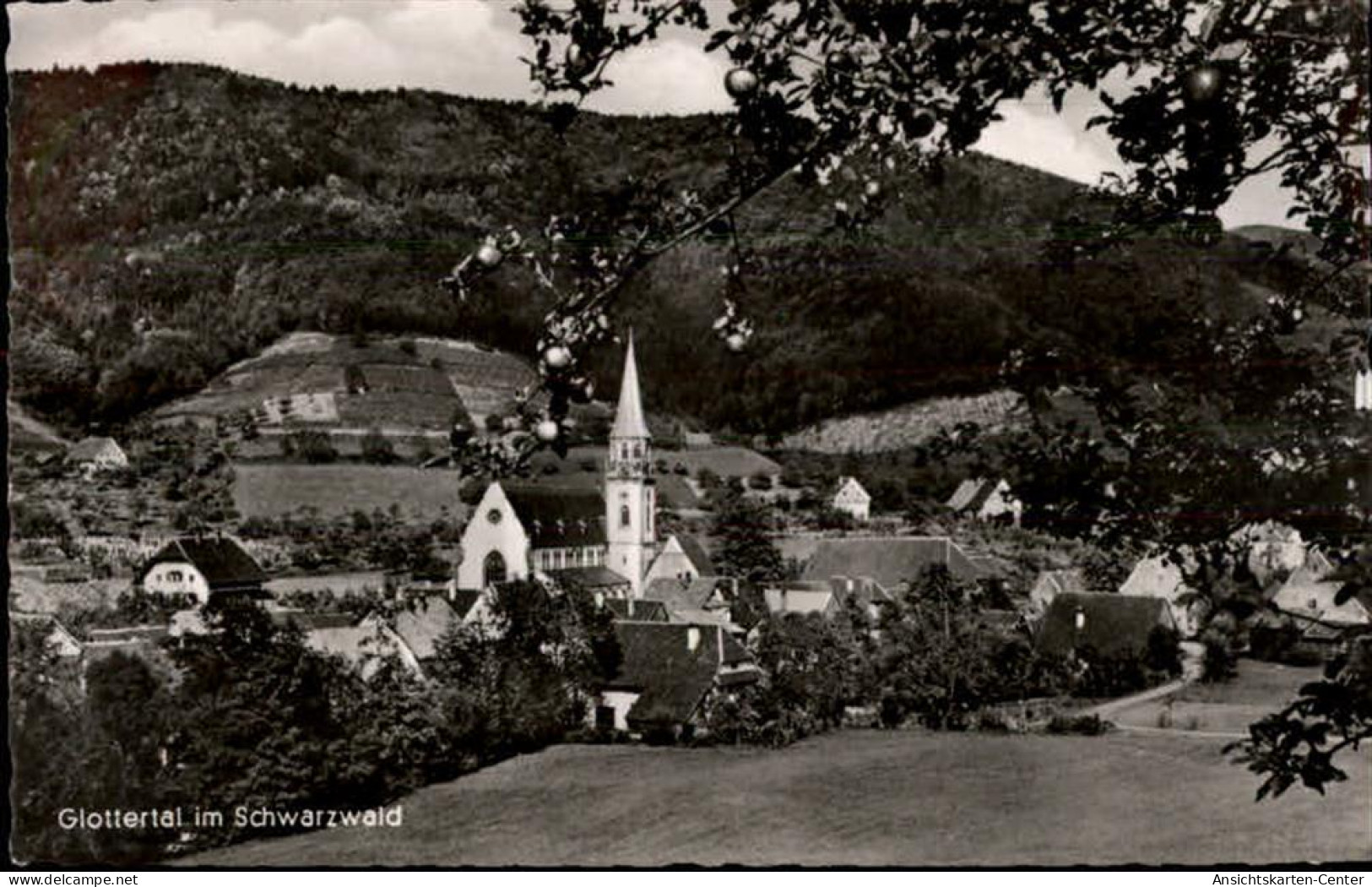 50478930 - Glottertal