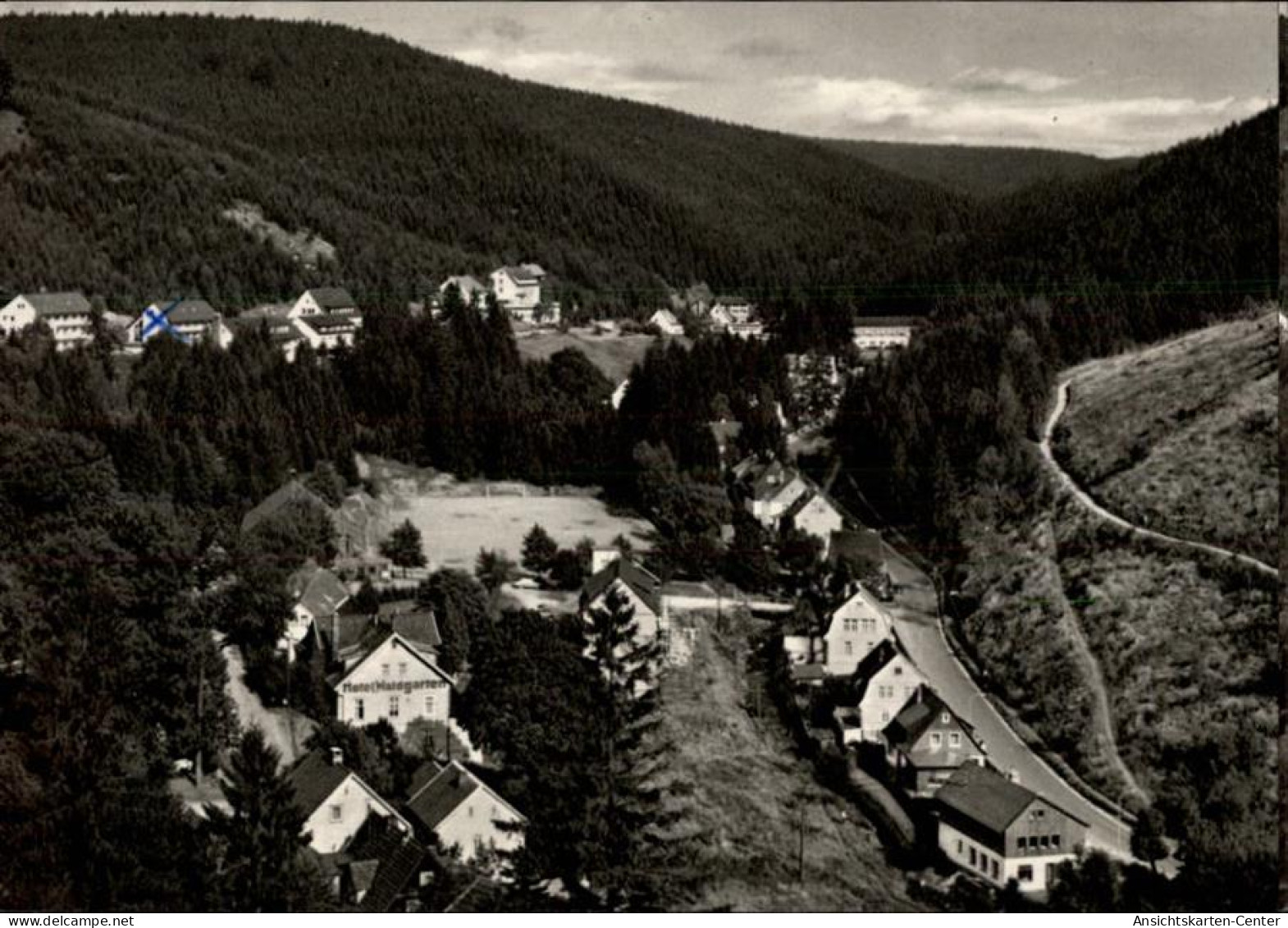 50479080 - Wildemann