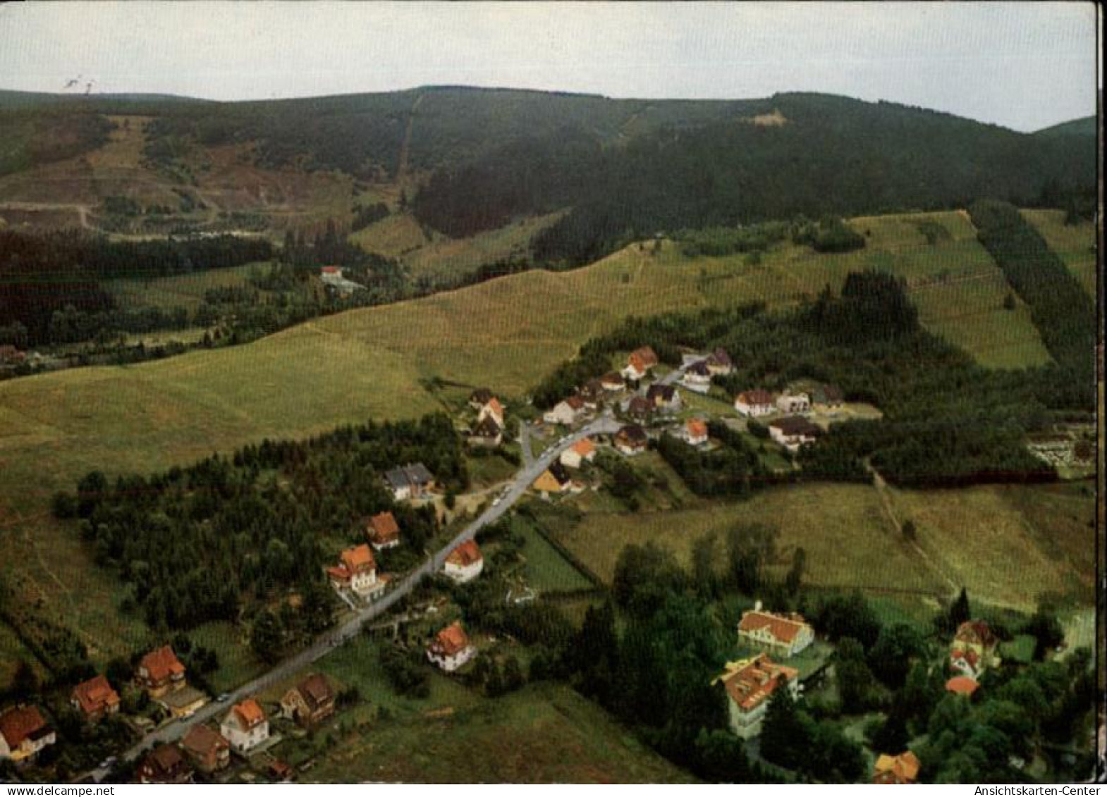 50479255 - Wildemann