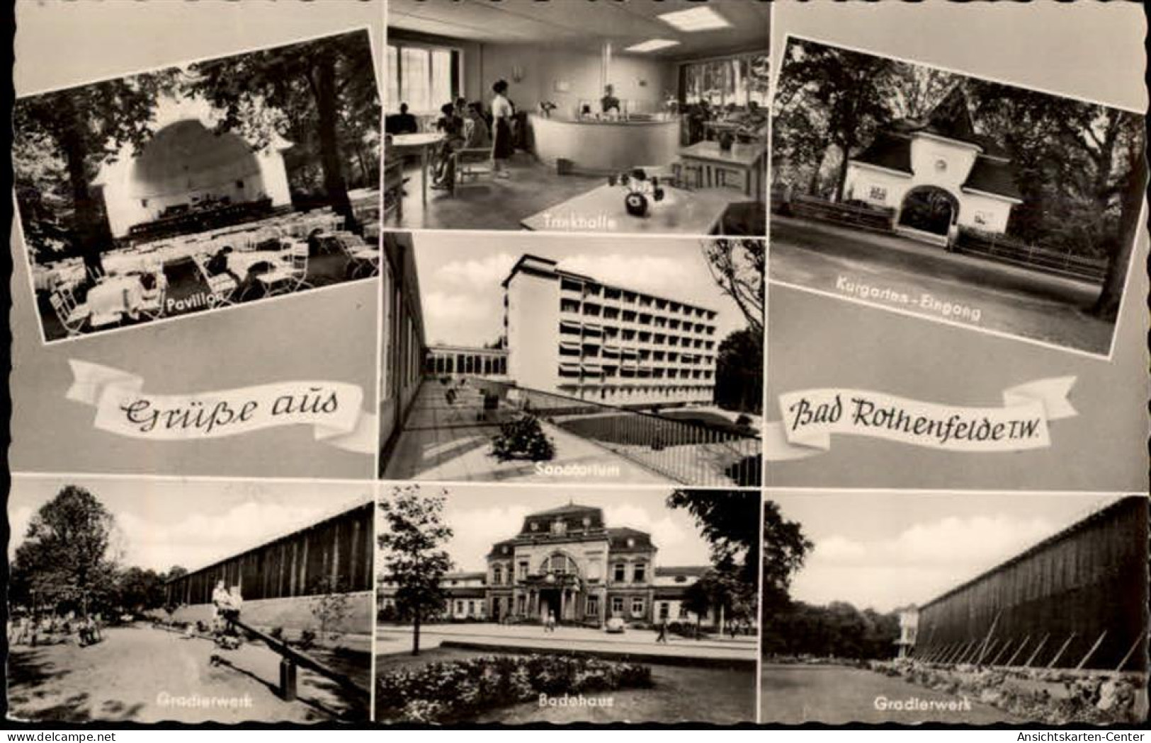 50479423 - Bad Rothenfelde