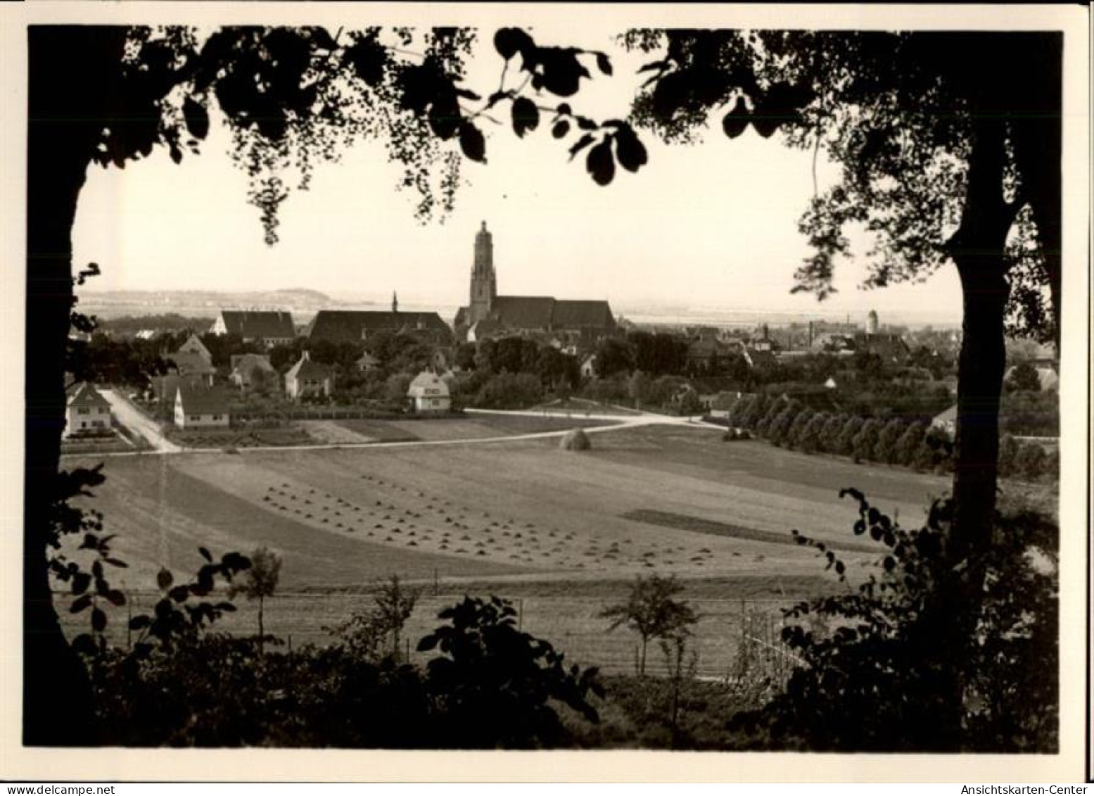 50480590 - Noerdlingen