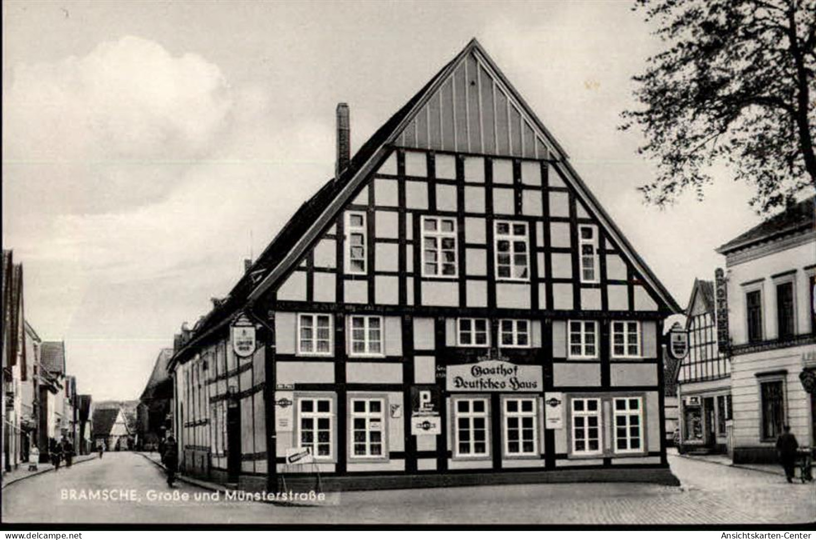 50481036 - Bramsche , Hase