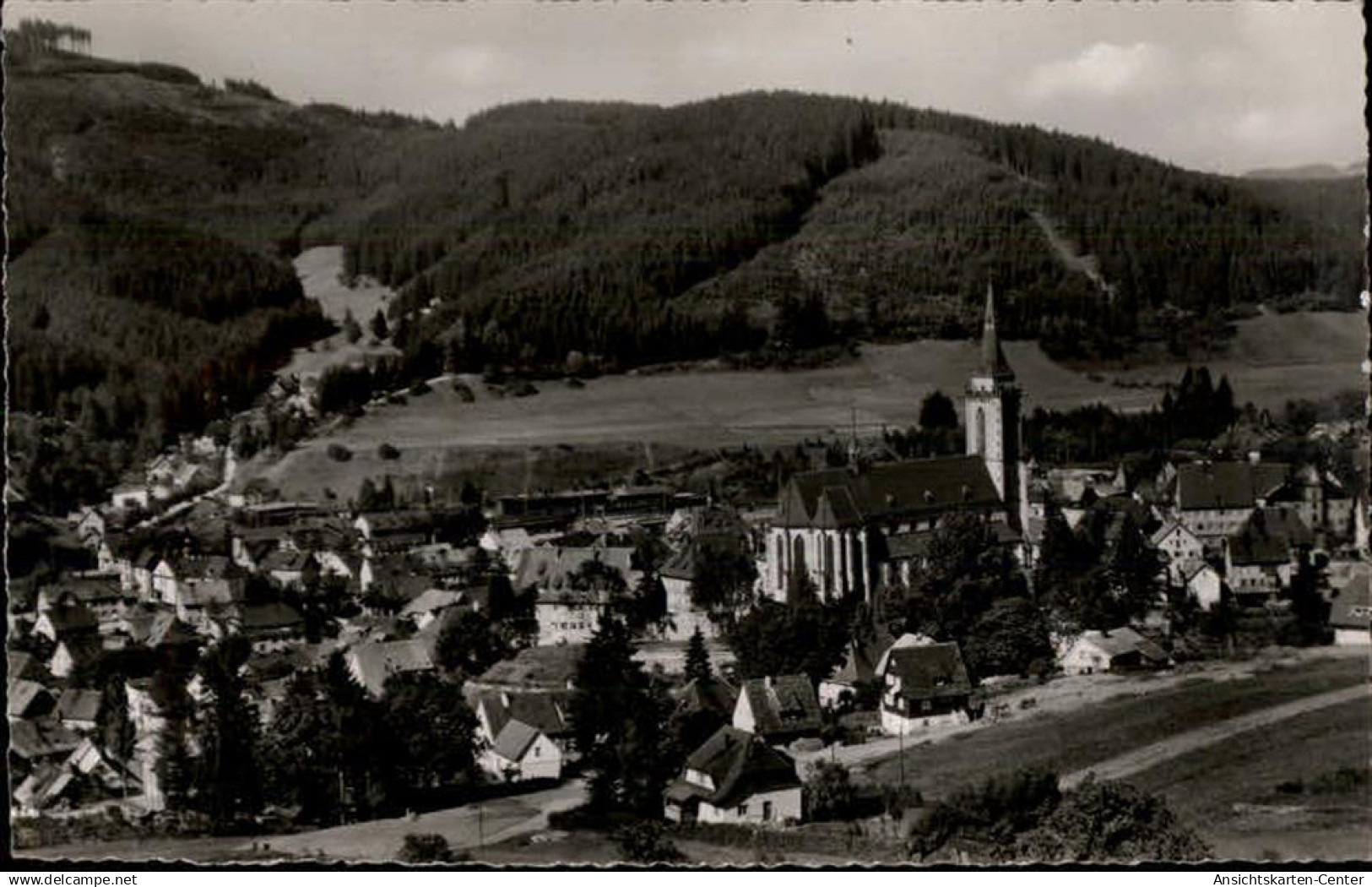 50481044 - Titisee-Neustadt