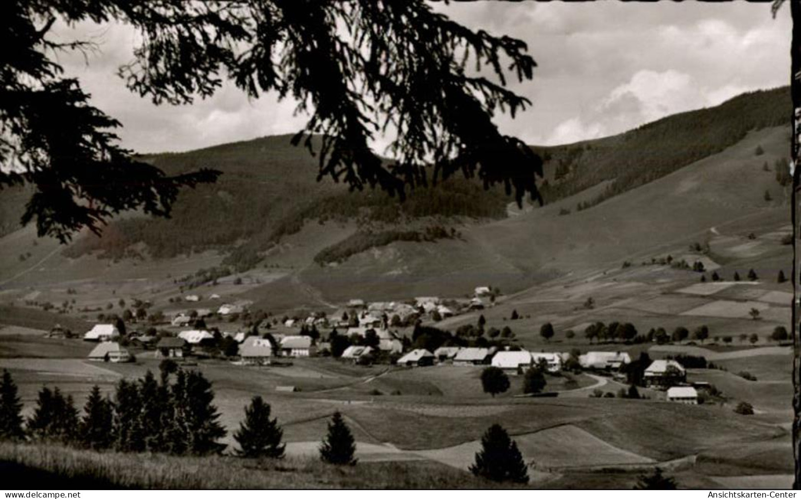 50481414 - Bernau im Schwarzwald, Baden